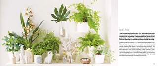 Aper&ccedil;u du contenu 3_My Tiny Indoor Garden