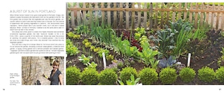 Sample content_My Tiny Veg Plot