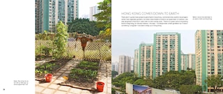 Sample content 2_My Tiny Veg Plot