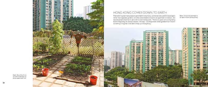 Sample content 2_My Tiny Veg Plot