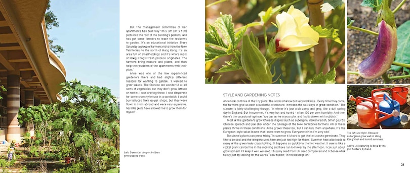 Sample content 3_My Tiny Veg Plot