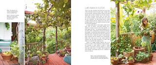 Sample content 4_My Tiny Veg Plot