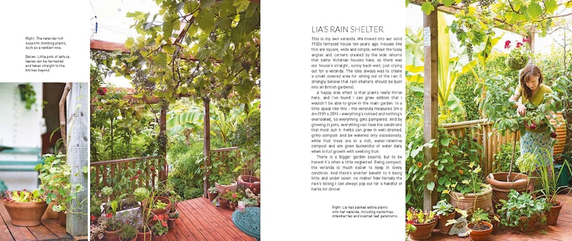 Sample content 4_My Tiny Veg Plot