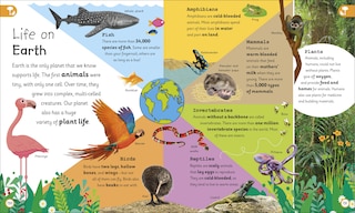 Aperçu du contenu 4_My Very Important Earth Encyclopedia