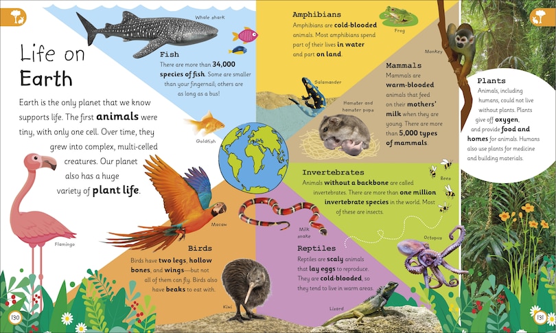 Aperçu du contenu 4_My Very Important Earth Encyclopedia