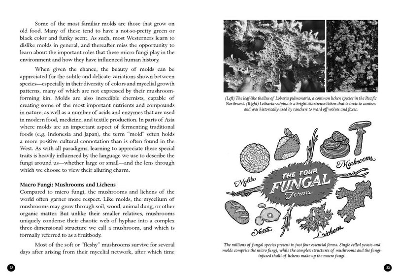 Aperçu du contenu_Mycocultural Revolution, The