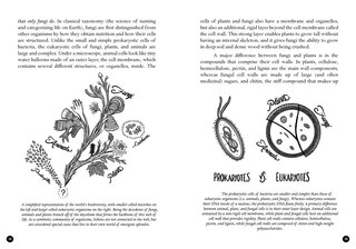 Aperçu du contenu 2_Mycocultural Revolution, The