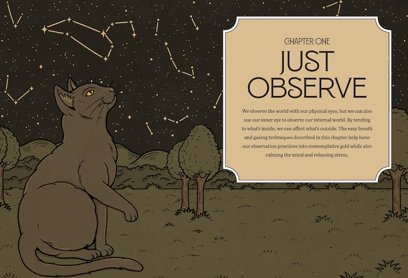 Aper&ccedil;u du contenu_Mystic Kitty