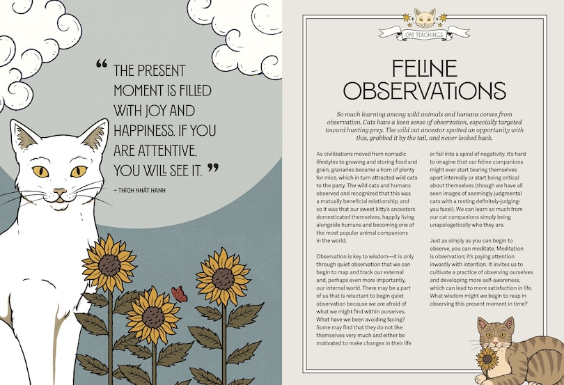 Aper&ccedil;u du contenu 2_Mystic Kitty