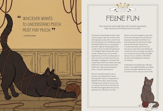 Aper&ccedil;u du contenu 4_Mystic Kitty