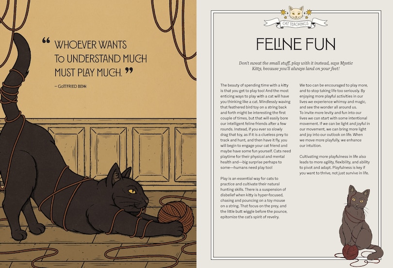 Aper&ccedil;u du contenu 4_Mystic Kitty