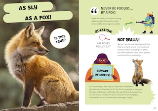 Sample content 3_Mythbuster