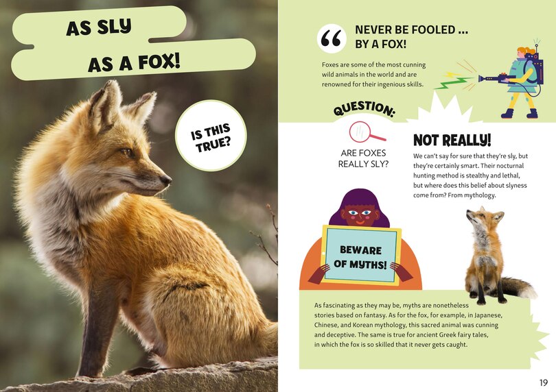 Sample content 3_Mythbuster