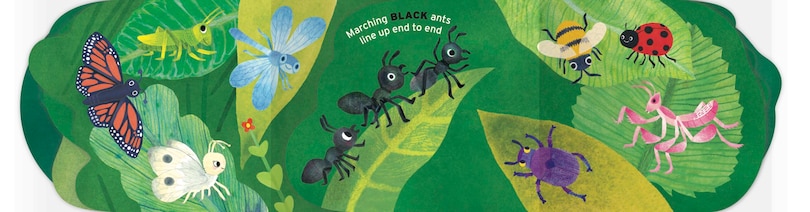 Aper&ccedil;u du contenu 2_Name Your Colors (and Critters, too!)