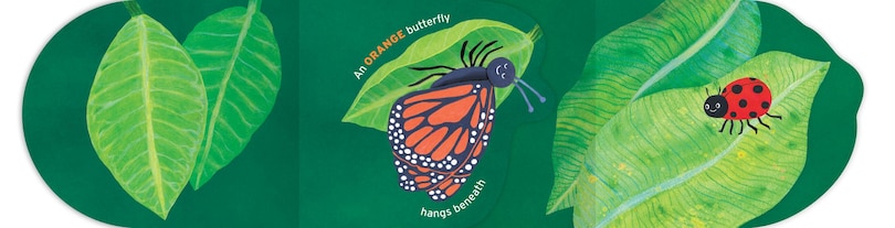 Aper&ccedil;u du contenu 3_Name Your Colors (and Critters, too!)