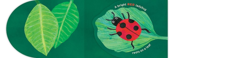 Aper&ccedil;u du contenu 4_Name Your Colors (and Critters, too!)