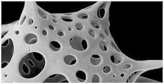 Sample content 3_Nanocosmos