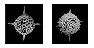 Sample content 4_Nanocosmos