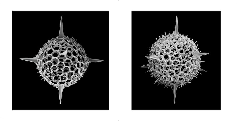 Sample content 4_Nanocosmos