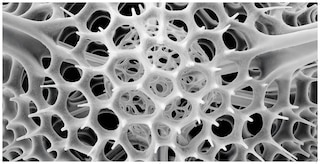 Sample content 5_Nanocosmos