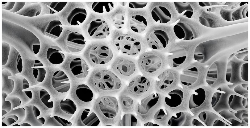 Sample content 5_Nanocosmos