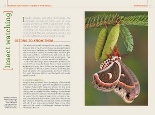 Aperçu du contenu_National Geographic Backyard Guide To Insects And Spiders Of North America