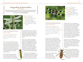 Aperçu du contenu 3_National Geographic Backyard Guide To Insects And Spiders Of North America