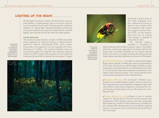 Aperçu du contenu 4_National Geographic Backyard Guide To Insects And Spiders Of North America