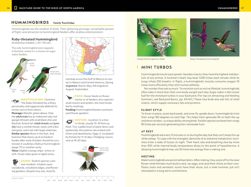 Aperçu du contenu_National Geographic Backyard Guide To The Birds Of North America, 2nd Edition