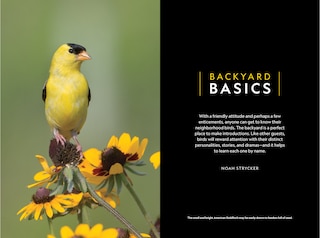 Aperçu du contenu 5_National Geographic Backyard Guide To The Birds Of North America, 2nd Edition