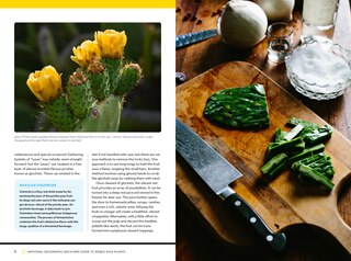 Aperçu du contenu 3_National Geographic Backyard Guide to Edible Wild Plants