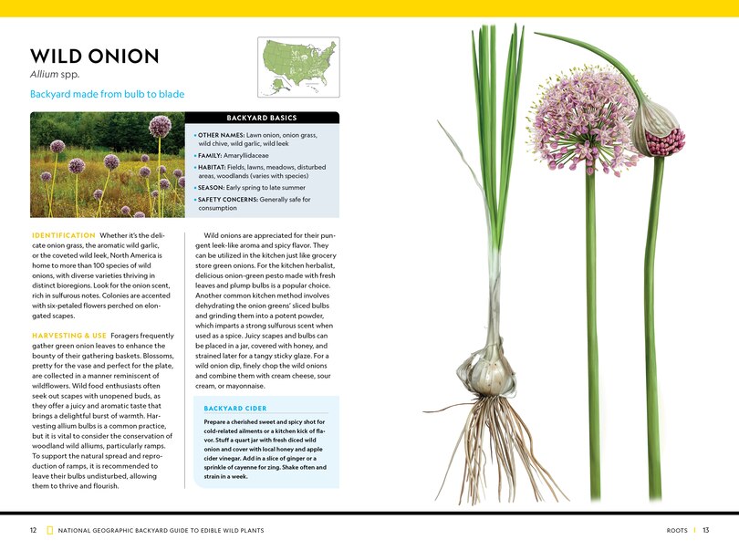 Aperçu du contenu 5_National Geographic Backyard Guide to Edible Wild Plants