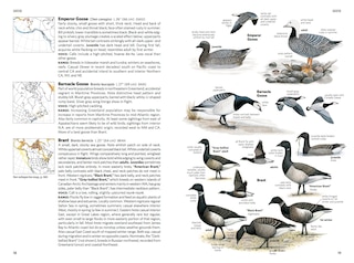 Aperçu du contenu_National Geographic Field Guide To The Birds Of North America, 7th Edition