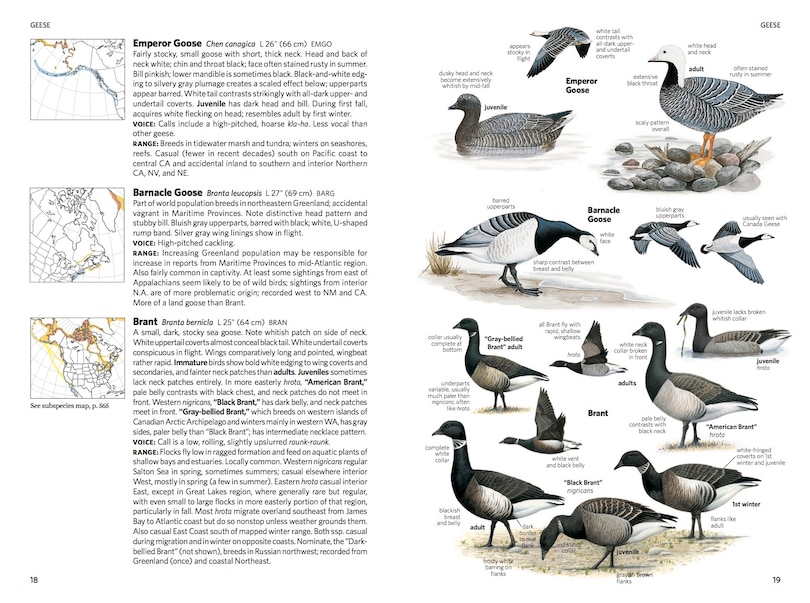 Aperçu du contenu_National Geographic Field Guide To The Birds Of North America, 7th Edition