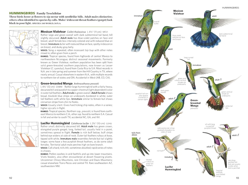 Aperçu du contenu 4_National Geographic Field Guide To The Birds Of North America, 7th Edition