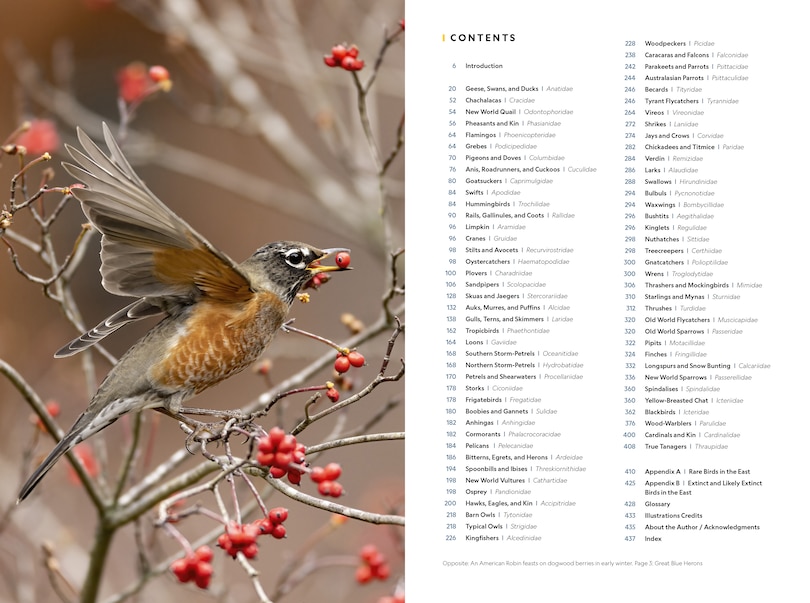 Sample content_National Geographic Field Guide to the Birds of the United States and Canada—East, 2nd Edition