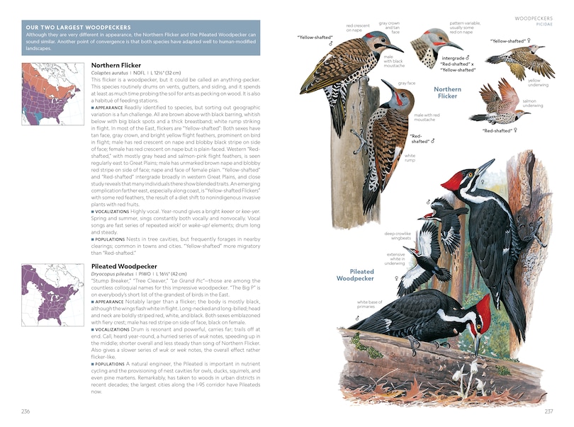 Sample content 3_National Geographic Field Guide to the Birds of the United States and Canada—East, 2nd Edition