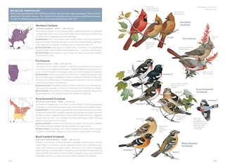 Sample content 4_National Geographic Field Guide to the Birds of the United States and Canada—East, 2nd Edition