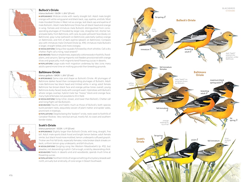 Sample content 3_National Geographic Field Guide to the Birds of the United States and Canada—West, 2nd Edition