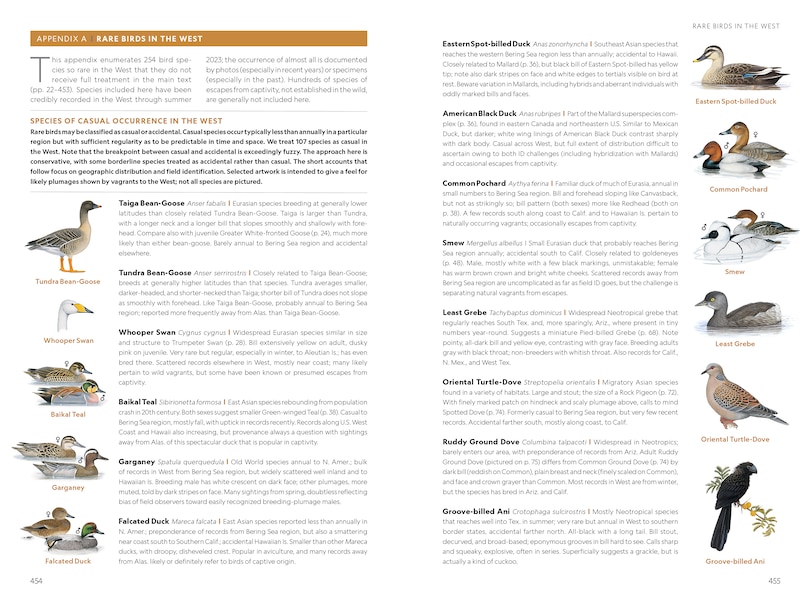 Sample content 4_National Geographic Field Guide to the Birds of the United States and Canada—West, 2nd Edition