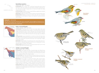 Sample content 5_National Geographic Field Guide to the Birds of the United States and Canada—West, 2nd Edition