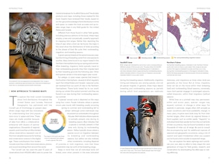 Aperçu du contenu_National Geographic Field Guide to the Birds of the United States and Canada, 8th edition