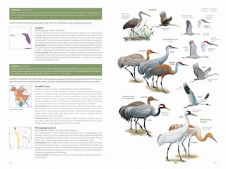 Aperçu du contenu 2_National Geographic Field Guide to the Birds of the United States and Canada, 8th edition