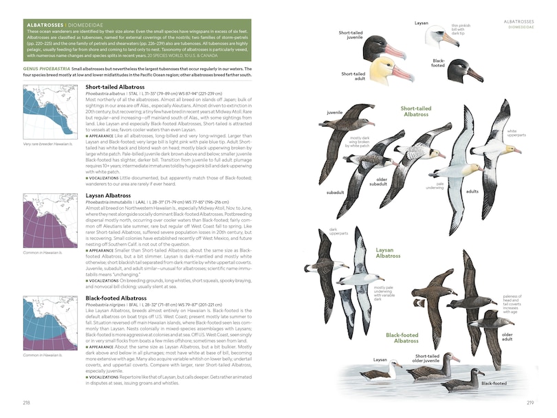 Aperçu du contenu 3_National Geographic Field Guide to the Birds of the United States and Canada, 8th edition