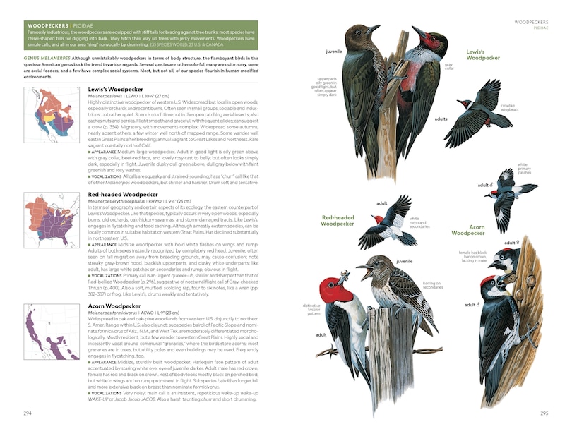 Aperçu du contenu 4_National Geographic Field Guide to the Birds of the United States and Canada, 8th edition