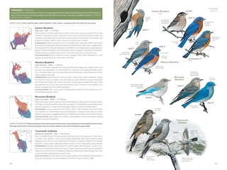 Aperçu du contenu 5_National Geographic Field Guide to the Birds of the United States and Canada, 8th edition