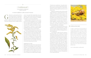 Aperçu du contenu 3_National Geographic Herbal