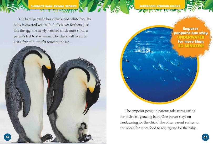 Sample content 2_National Geographic Kids 5-Minute Baby Animal Stories