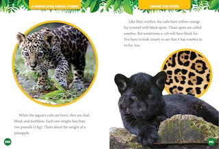 Sample content 3_National Geographic Kids 5-Minute Baby Animal Stories