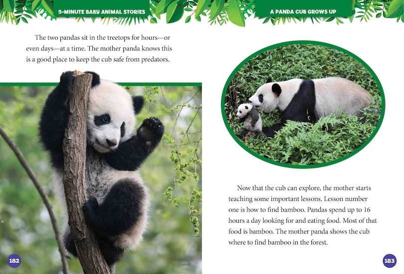 Sample content 4_National Geographic Kids 5-Minute Baby Animal Stories